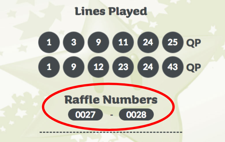 Lotto Plus Raffle numbers on ticket